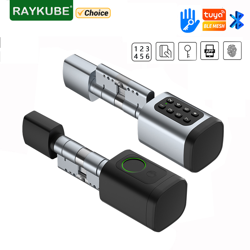 RAYKUBE V1 Tuya BLE TT Lock Sm - огляд і ціна Home Automation System Diy