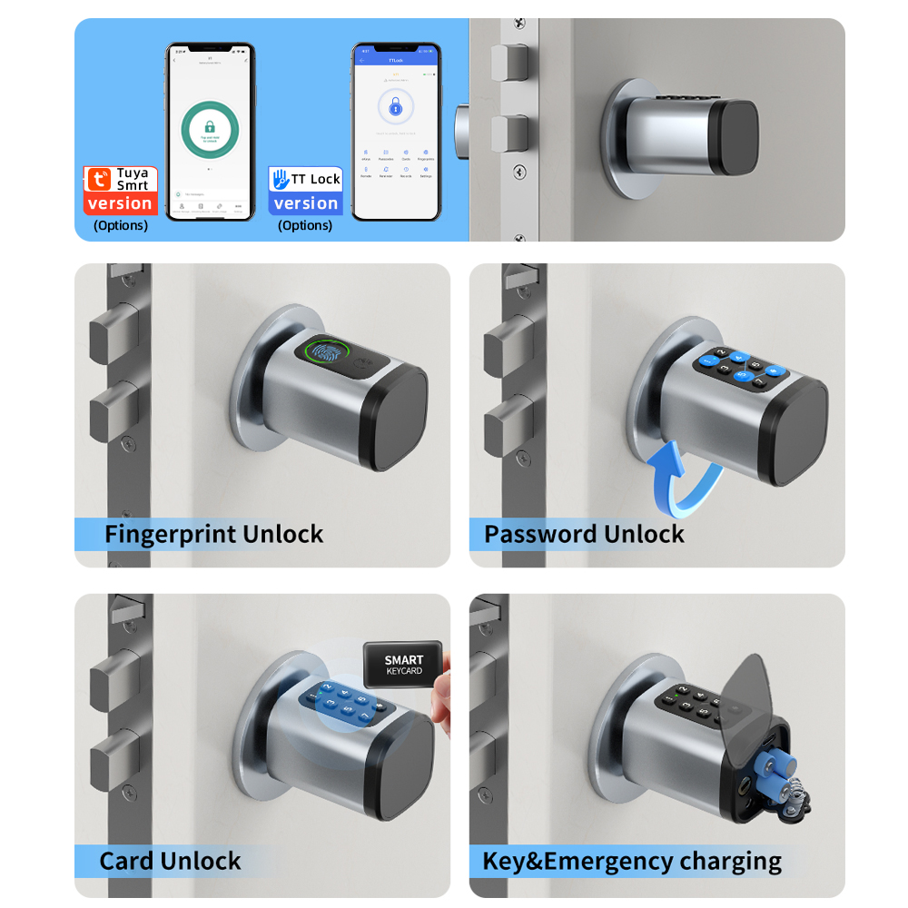 RAYKUBE V1 Tuya BLE TT Lock Sm - огляд і ціна Home Automation System Diy