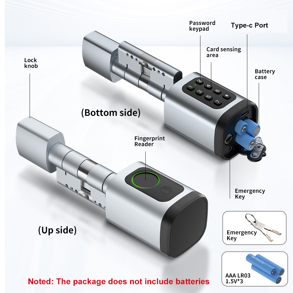 RAYKUBE V1 Tuya BLE TT Lock Sm - огляд і ціна Home Automation System Diy