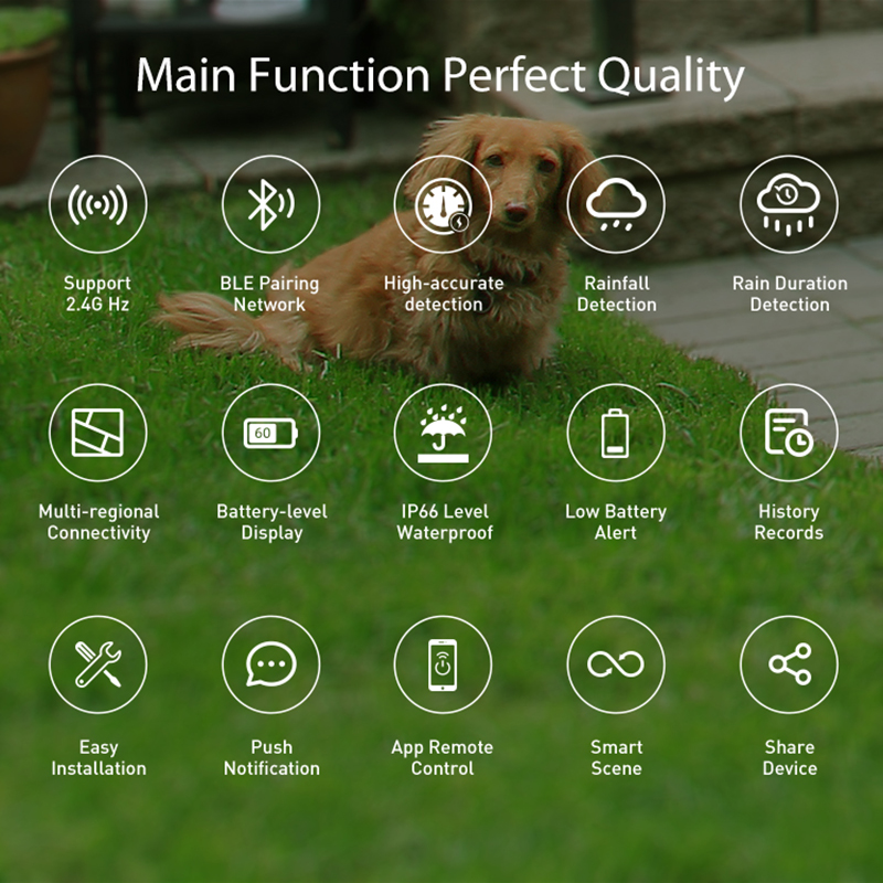 WiFi Rain Sensor Rainfall Dura - огляд і ціна Home Automation Ideas